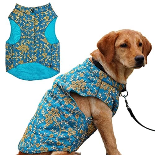 Myartbucket Dog Sherwani: Ethnic Wear, Wedding Dress for Dogs Melting Designer Sherwani (S, Cobalt Blue)