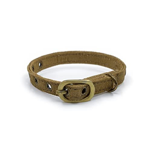 PetWale Cat Collar | Adjustable | Durable | Safety Collar | Pet Supplies | Cat Accessories | Cat Collar | Cat Belt | Soft and Comfortable | for Indoor use | Pack of 1 | Bronze