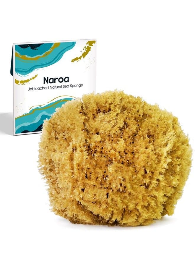 Exfoliating Natural Sponge for Shower X Large | Bath Sea Loofah for Healthy Skin | Unbleached Bathing Body Scrubber Puff | Eco Friendly Plastic Free