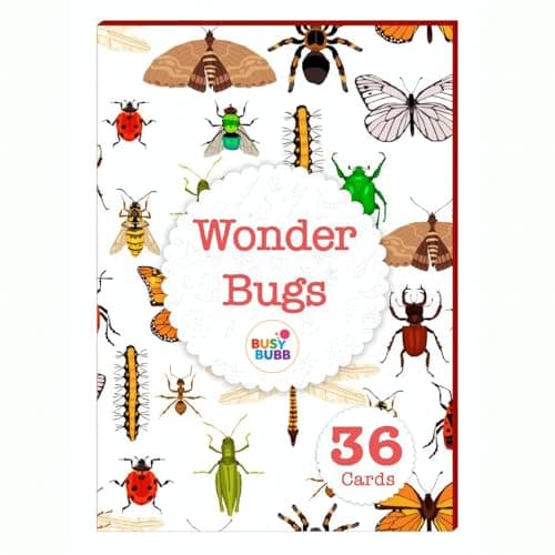 Busy Bubb - Wonder Bugs | 36 Laminated Anti-Glare Cards | Montessori Inspired Fun & Easy to Learn Toys for Kids