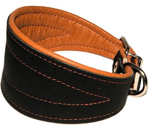 Real Leather Extra Wide Padded Tapered Dog Collar Glossy Black Greyhound Saluki Deerhound Lurcher Whippet Dachshund (16.75"-20" Neck; 3" Wide, Toffee)