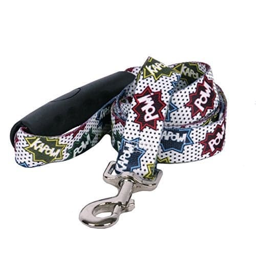 Yellow Dog Design Action Caption Ez-Grip Dog Leash with Comfort Handle 1" Wide and 5' (60") Long, Large