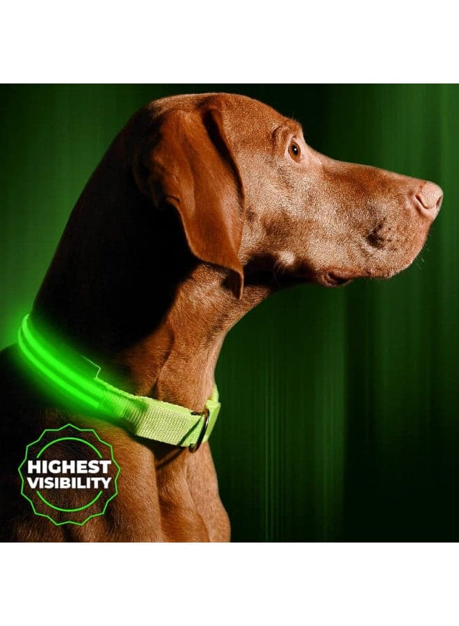 Illumiseen LED Dog Collar USB Rechargeable - Bright & High Visibility Lighted Glow Collar for Pet Night Walking - Weatherproof, in 6 Colors & 6 Sizes (Green Large)