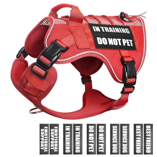 WINSEE Service Dog in Training Mesh Harness with 10 Pet Patches, Soft Air Mesh Breathable Tactical Dog Molle Vest, Reflective Military Pet Vest for Walking Hiking for Small Dogs
