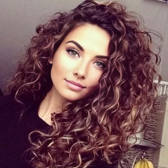 Fencca Dark Brown with Blonde Highlight Curly Long Wigs for Women Heat Synthetic Wig Brown Loose Curls Free Part Puffy Wig