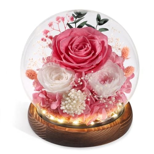 FIACO Gifts for Mom Flowers for Delivery Birthday Gifts for Women Grandma Forever Preserved Eternal Rose in Glass Dome Mother Days Valentines Anniversary for Girlfriend Wife Her Pink