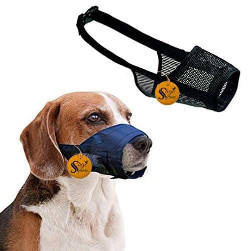 Sage Square Net Muzzle Dog - Secure & Breathable Dog Muzzle for Safe Walks | Adjustable Straps & Soft Mesh Cover | Prevent Biting, Chewing, and Licking | Comfortable and Stylish Design (Medium)