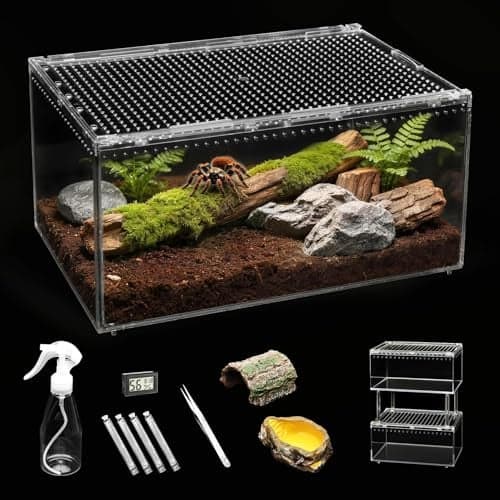 Clioran Small Reptile Terrarium KitEscape Proof Tarantula EnclosurePC Starter Hermit Crab TankSpider Habitat for Praying Mantis CageFrog VivariumInsect HouseJumping Spider CribsLizard Container