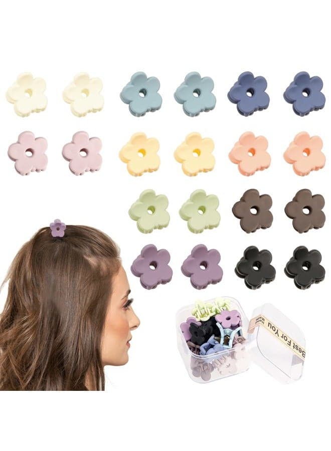 Small Claw Hair Clips for Women Girls - 20 Pcs Mini Claw Clips for Thin Hair Tiny Flower Hair Clips Strong Hold Cute Jaw Clip Nonslip Hair Styling Accessories with Box (Mixed)