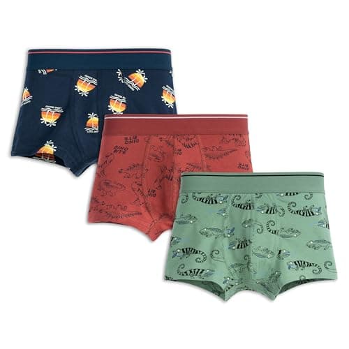 ARIEL Boys Cotton Blend Boxers(Pack of 3)(AR-BT-P3-11-12_Years-S1-lizdinoaop), Multicolored