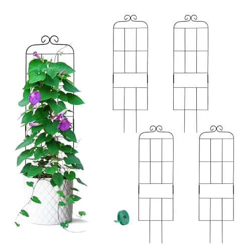 4 Pack 31 Plant Trellis for Climbing Plants Indoor Outdoor Metal Trellis for Potted Plants Plant Support for Houseplant Vines Pothos Rose Ivy and Flowers Black