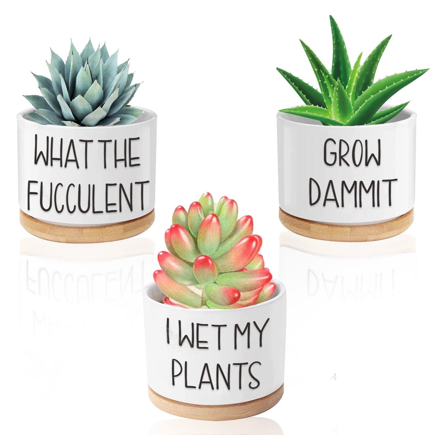 Funny Succulent Pots 315 inch Ceramic Flower Plant Pots with Bamboo Tray Cute Cactus Planters with Drainage Hole Birthday Gifts for Women Plant Lover Gifts Pack of 3 Plants Not Included