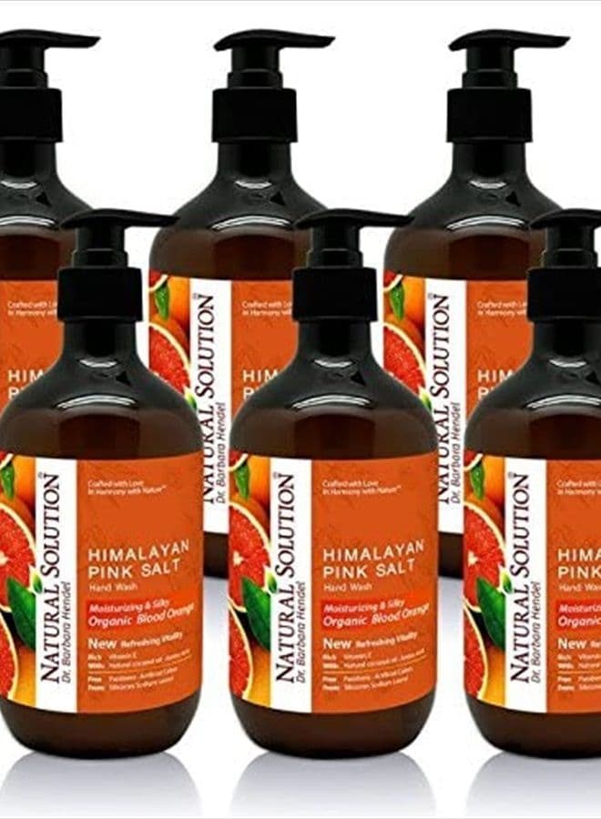 Liquid Soap, Formulated with Organic Blood Orange & Himalayan Pink Salt, Nourishing and Moisturizing, Hand Wash - 14 oz Each (6 Pack) (8647B-6PK)