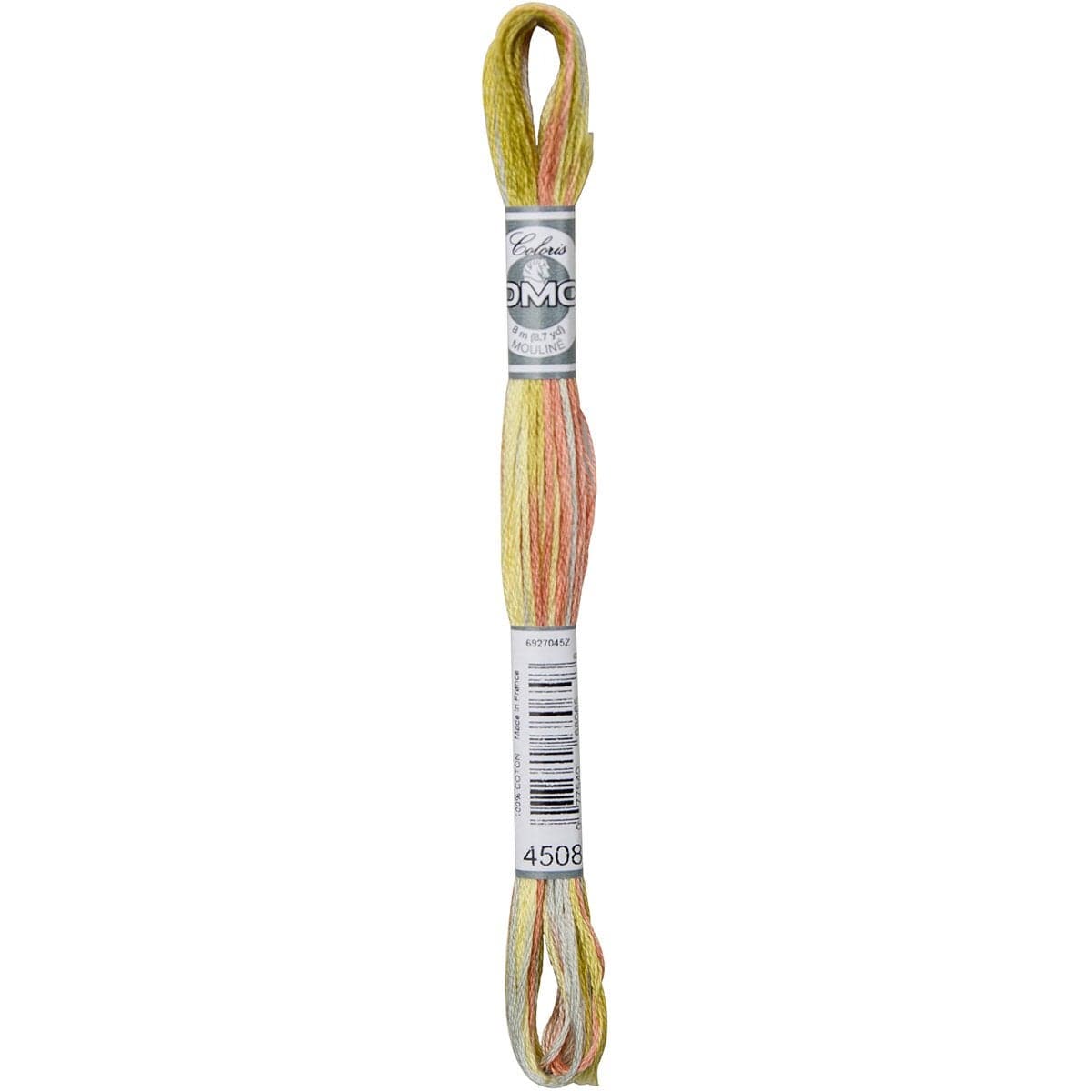 DMC Coloris Embroidery Thread Frosted Countryside