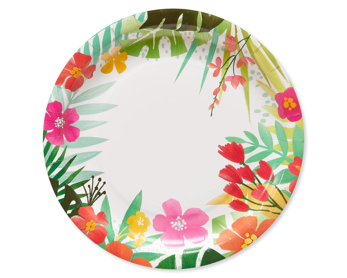 American Greetings Tropical Luau Party Supplies for BBQs and All Summer Parties, Dinner Plates (36-Count)