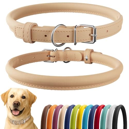 CollarDirect Rolled Leather Dog Collar, Soft Padded Round Puppy Collar, Handmade Genuine Leather Collar Dog Small Large Cat Collars 13 Colors (18-22 Inch, Beige Smooth)