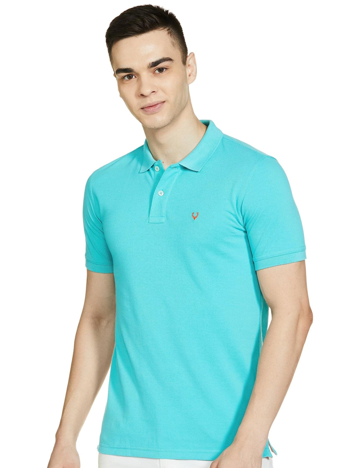 Allen Solly Men's Solid Regular fit Polo (AMKP317G04239_Mint L)