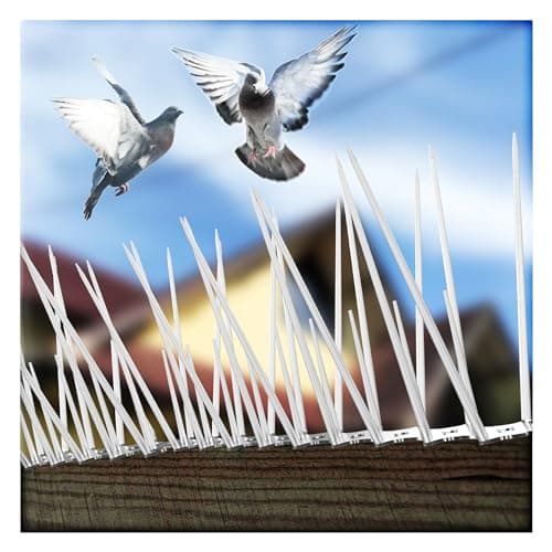 Eightiz (Pack of 40) Bird and Pigeon Spikes, Pigeon Control Spikes Anti Bird Plastic Spikes for AC Balcony Railing Window Home Protection from Pigeon Dog Monkey Crow Kabootar Transparent