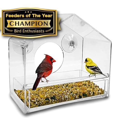Nature Gear Acrylic Clear Bird Feeders for Window Viewing, Weather Resistant & Easy to Clean with Sliding Tray, Clear Window Bird Feeder with Strong Suction Cups, House Style