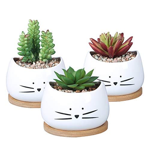 Koolkatkoo 32 Inch Cute Cat Ceramic Succulent Planter Pots with Removable Saucer Unique Cactus Planters Porcelain Decorative Flower Pot for Cat Lovers Set of 3 White