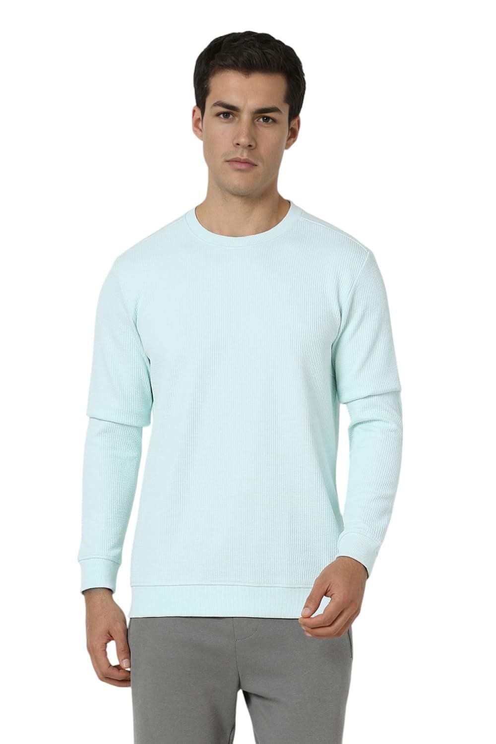Van Heusen Men Light Blue Textured Crew Neck Sweatshirt