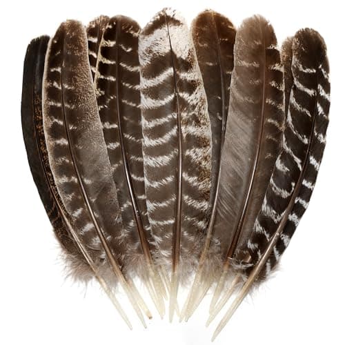 Natural Wild Turkey Feathers Wing 810inch 2025cm for Crafts DIY Home Wedding Party Halloween Decoration Feathers 20pcs