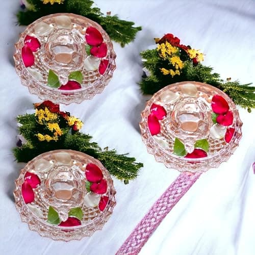 SAUDEEP INDIA Vastu Feng Shui Crystal Turtle Tortoise with Plate for Nuclear Family(3 Family Member)