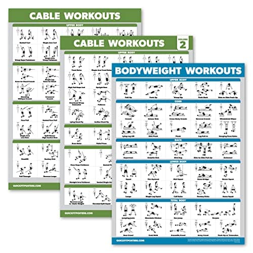 Palace Learning 3 Pack Cable Machine Workout Posters Volume 1 Volume 2 Bodyweight Exercise Chart LAMINATED 18 x 24