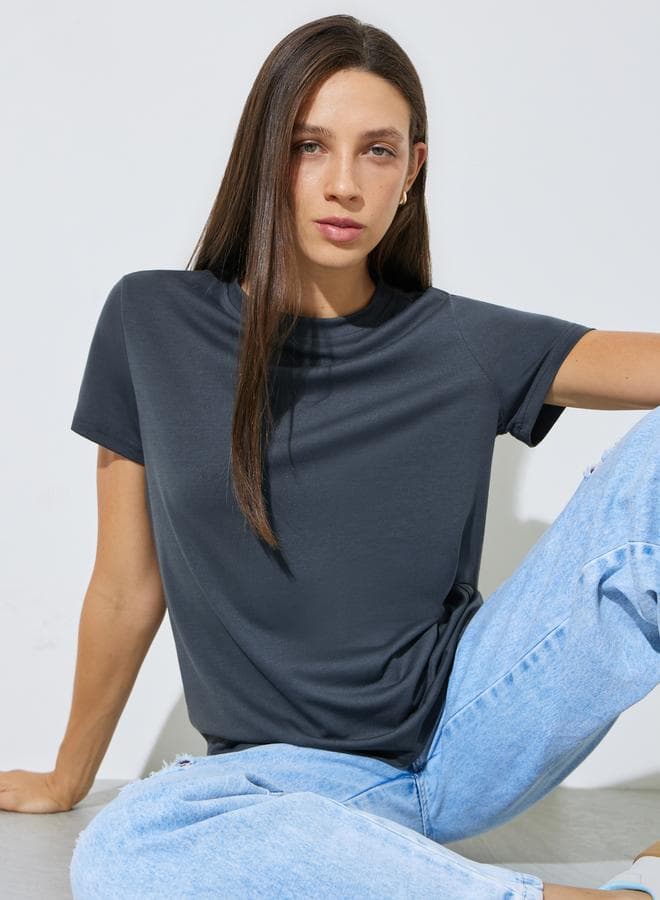 Grey Plain Crew Neck Regular Fit T-Shirt