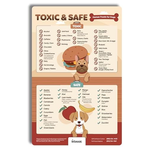 Food Dogs Shouldn’t Eat Magnet | List of Toxic and Safe Food for Dogs Chart | Food Canines Can & Cannot Eat Magnetic Cheat Sheet | Can My Pet Consume This | Harmful Human Food for Pets - 5.5” x 8.5”