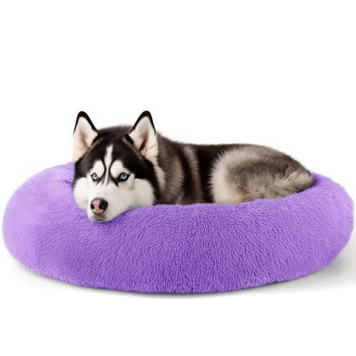 Extra Large Dog Beds 36 Inch Human Dog Anxiety Relief Comfort Bed Indestructible Chew Proof Pet Beds Purple