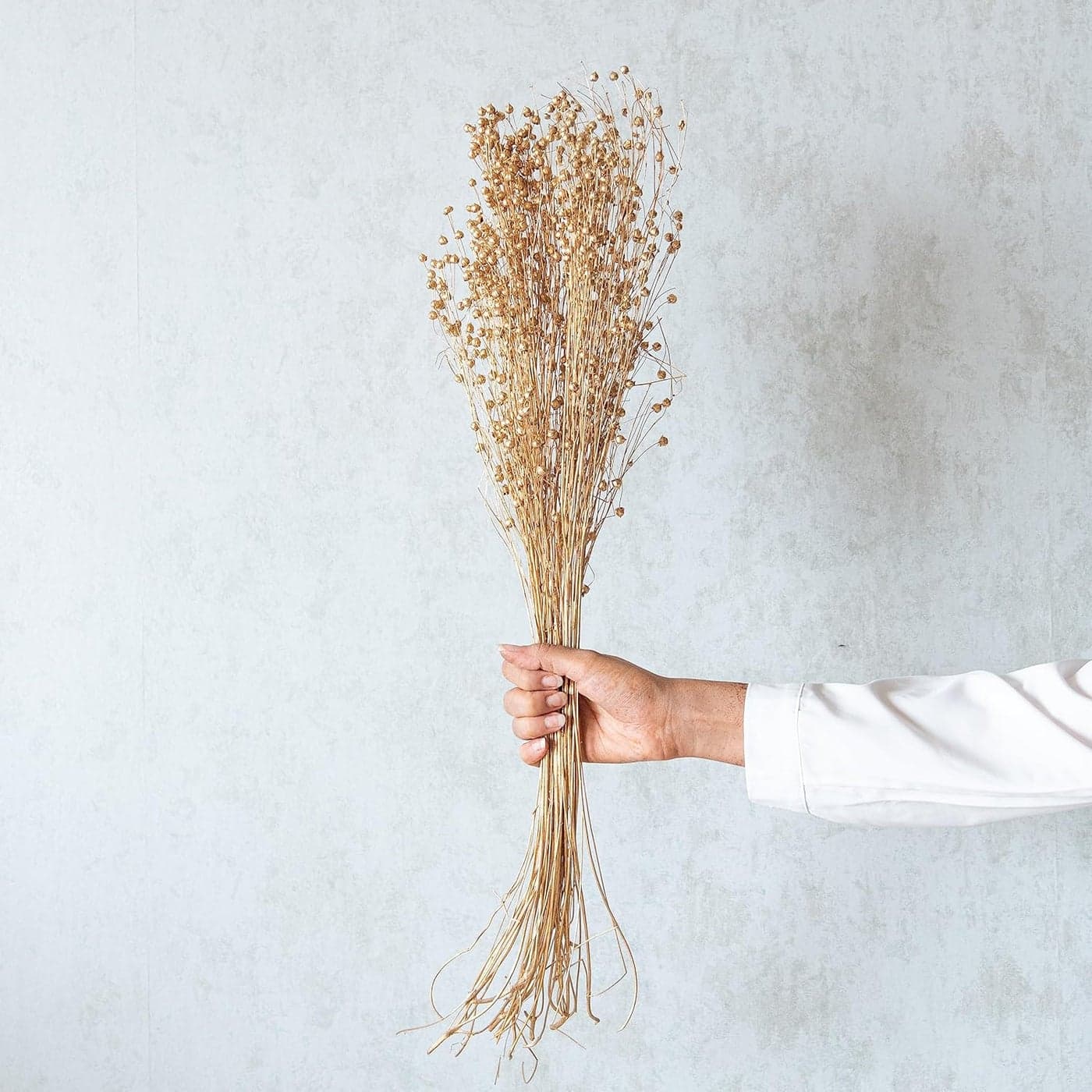 Flowers and Fillers Gold Lino Grass Dried Flower Boquet EcoFriendly Flowers for Home Dcor Vase Filler for Home