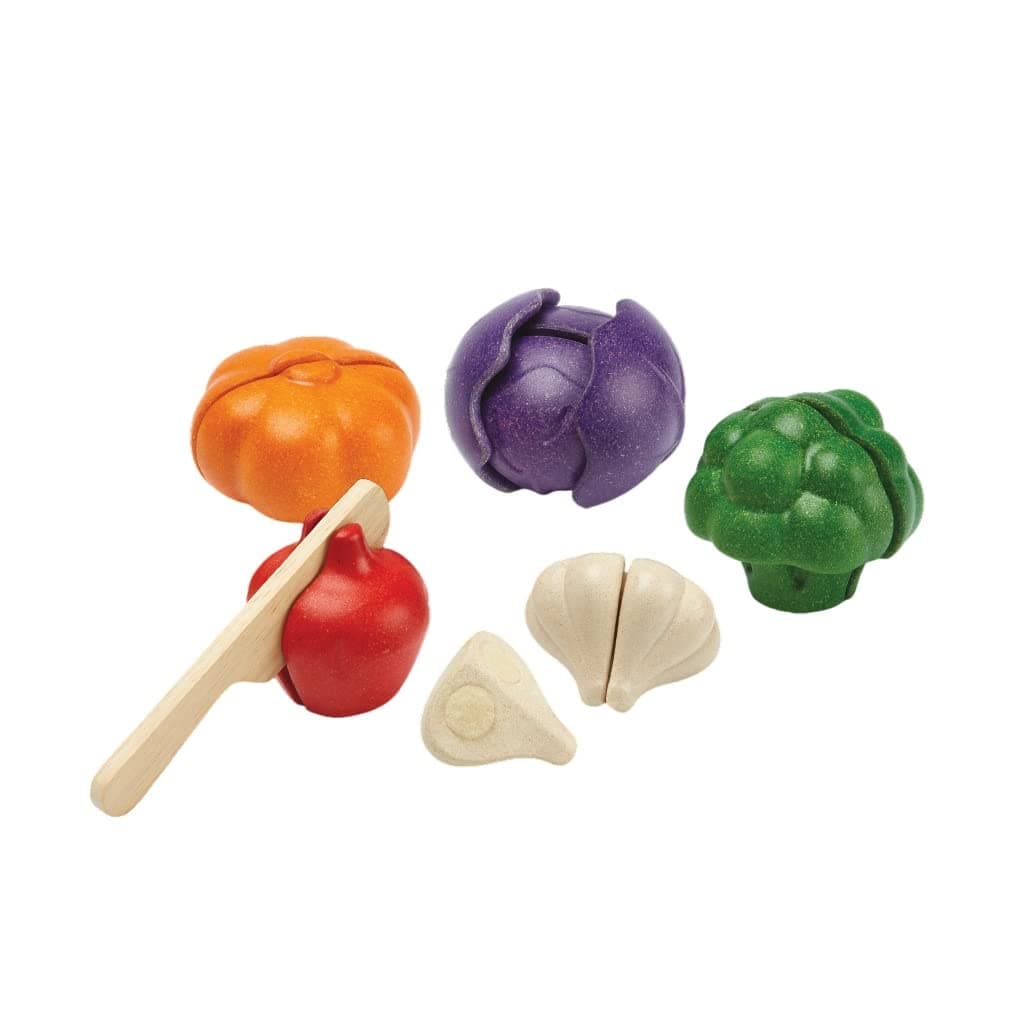 PLAN TOYS Plantoys EcoFriendly Educational Toy MultiColor 3431