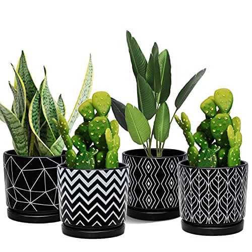 Ton Sin Flower Pots,5.5 Inch Black Ceramic Planter with Drainage Hole,Indoor Cylinder Plant Pots with Saucer,Cactus Succulent Outdoor Garden Pots Set of 4