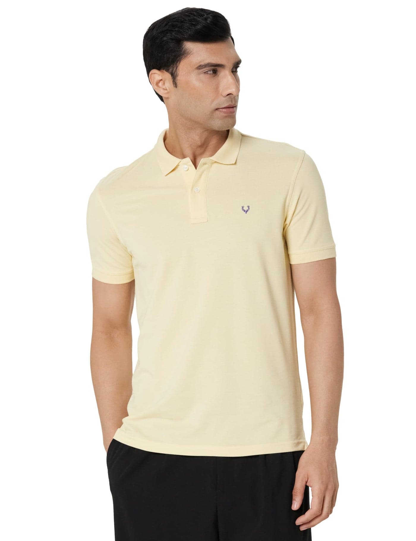 Allen Solly Men Beige Melange Regular Fit Polo(AMKP317G04244_Beige Melange_L)