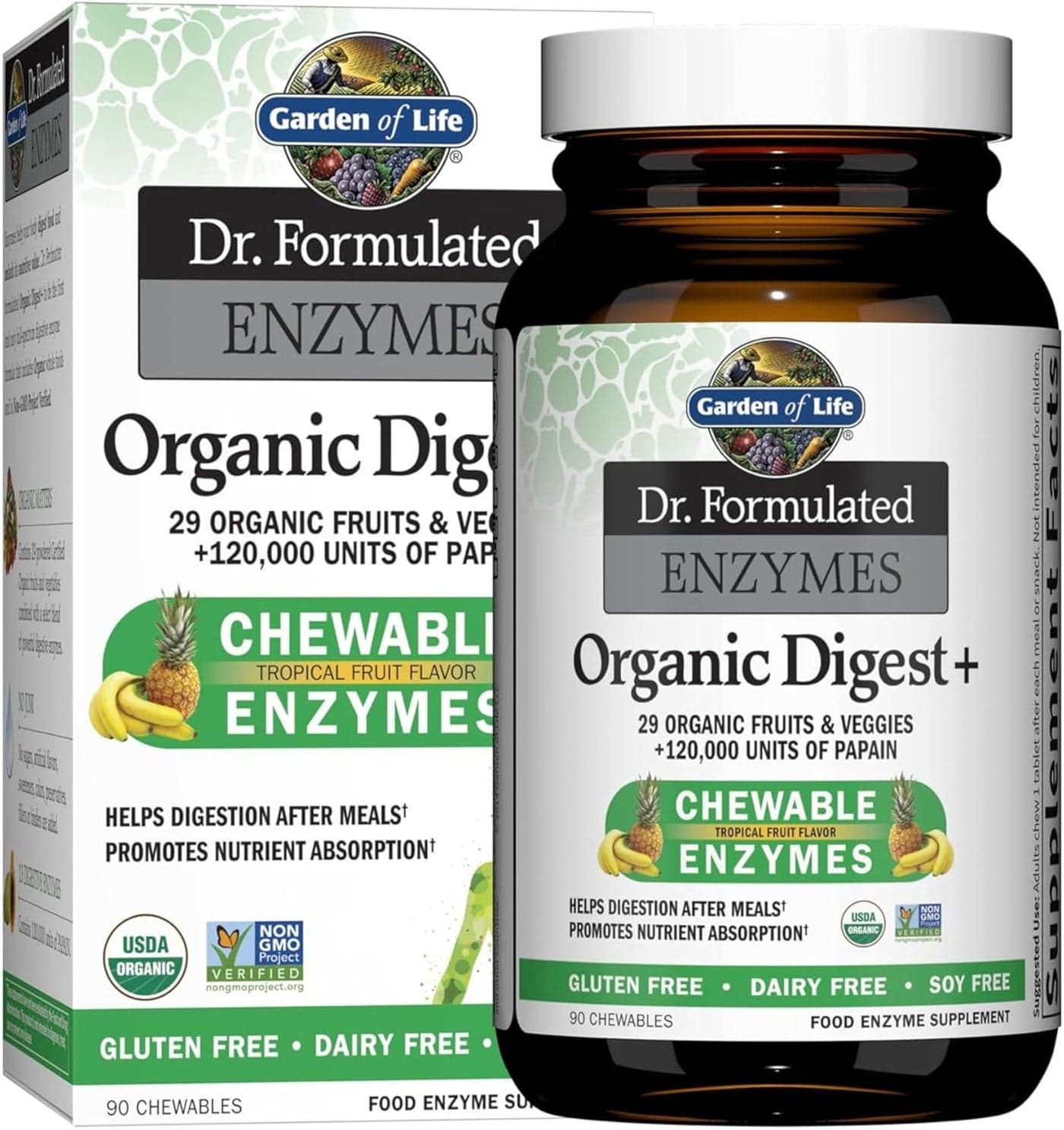 Garden of Life Dr Formulated Digestive Enzymes with Papain Bromelain Lipase for Digestion Nutrient Absorption Organic Digest Vegan GlutenFree NonGMO Tropical Fruit Flavor 90 Chewables