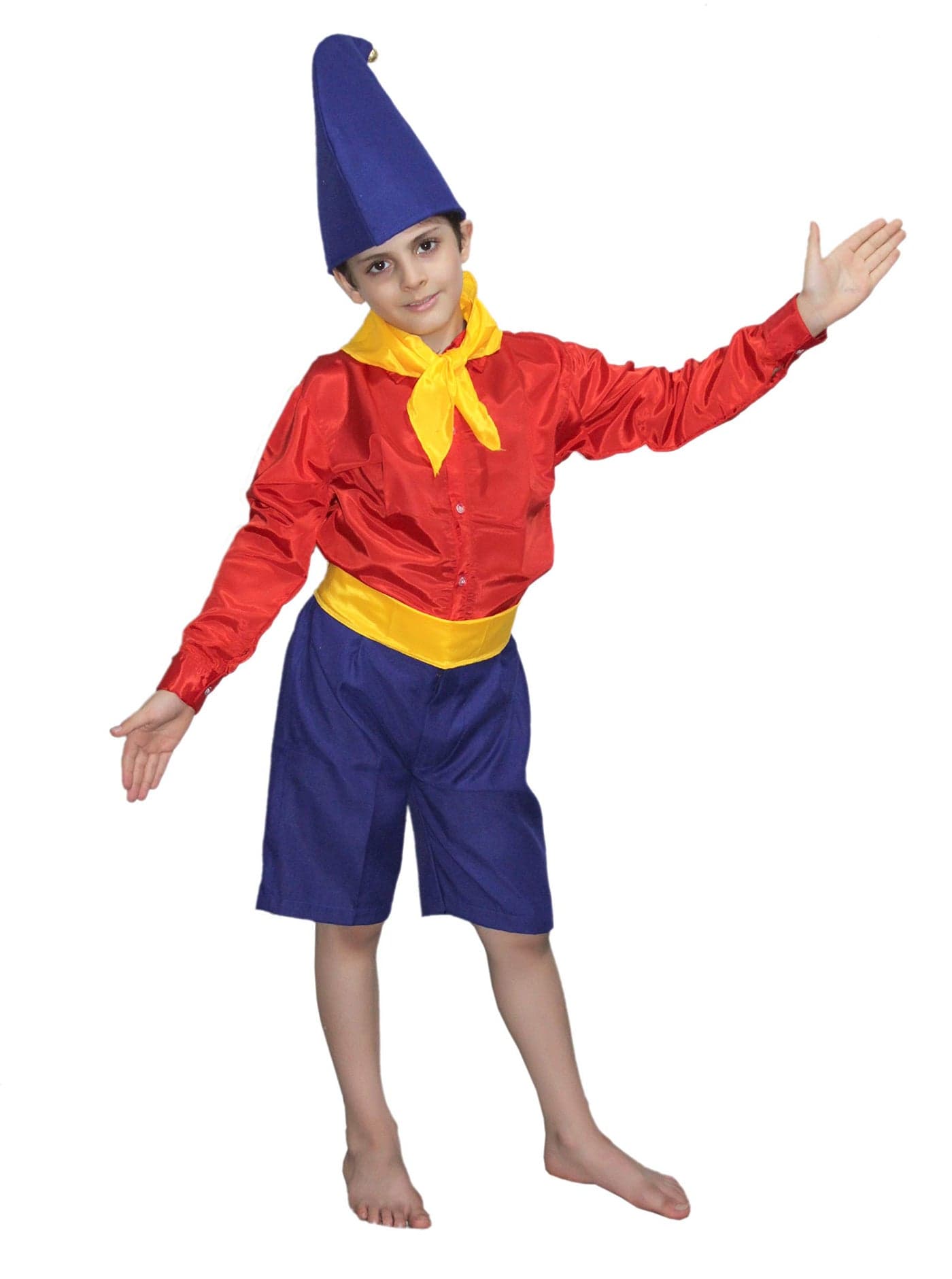 Kaku Fancy Dresses Polyester Boy Cartoon Costume -Red & Blue, 3-4 Years