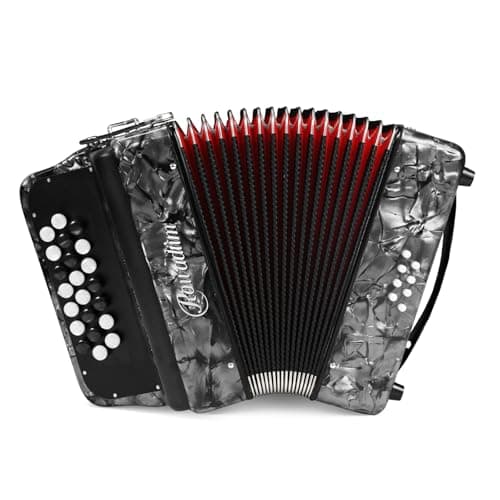 Accordion - 22 keys 8 bass, lightweight piano accordion for beginners, vibrant design for beginners and adults for easy learning (8 Bass, Gray)