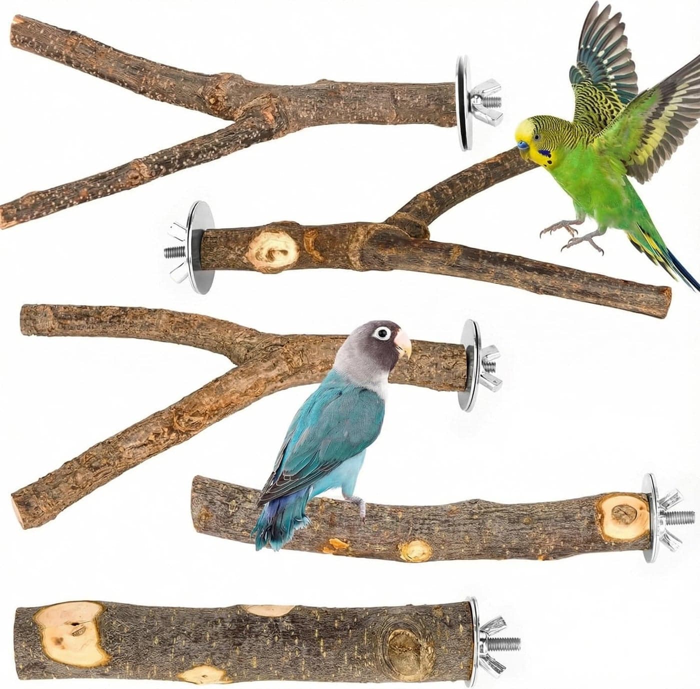 CZWESTC 5PCS Natural Wood Bird Perch Set - Straight & Forked Branch Perches Cage Perches Accessories for Small Medium Birds, Parakeets, Budgies, Cockatiels, Conures