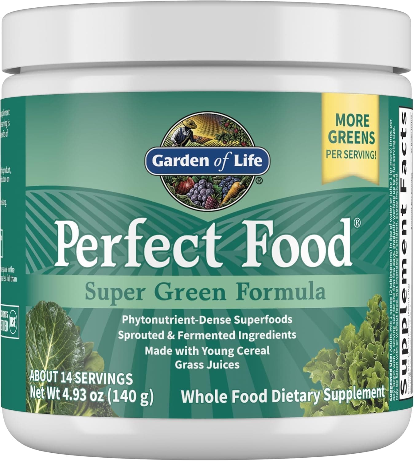 Garden of Life Perfect Food Super Green Formula 14 Servings 45 Superfoods Greens Fruit Veggie Juice Superfood Powder Supplement Probiotics Organic Spirulina for Digestion Immune Health
