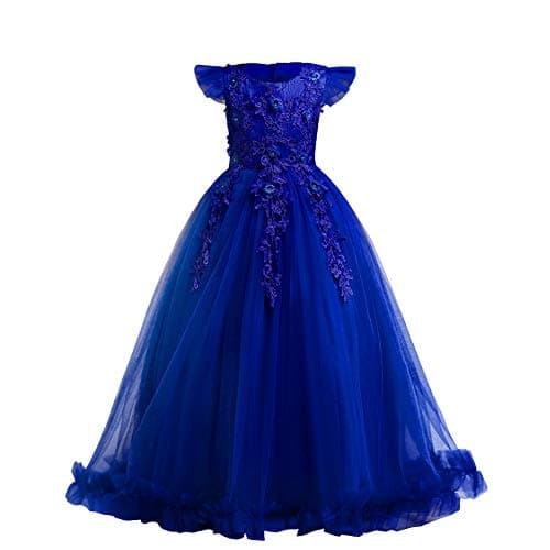Big Little Girl Princess Embroidery Flower Lace Long A Line Pageant Dress Kids Floor Length Prom First Holy Communion Bowknot Dress Puffy Tulle Maxi Ball Gown for Wedding Party Birthday Blue 89