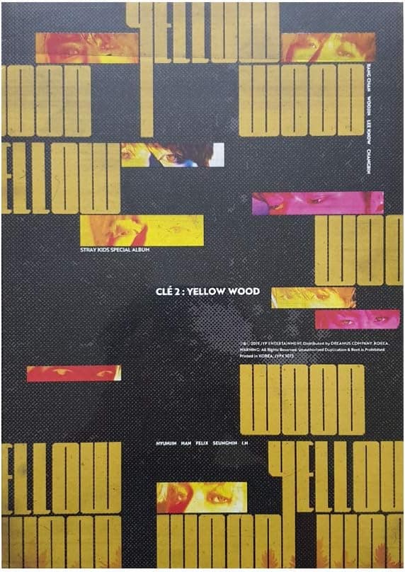 STRAY KIDS SKZ Cle 2 Yellow Wood Special Album Yellow Wood Version CDRPhotobookQR Photocards