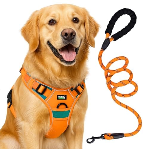 Buraq Reflective Dog Harness with Leash, No-Pull Adjustable Belt Vest for Small, Medium & Large Dogs, Escape-Proof, Padded Training & Walking Harness (M - Orange)