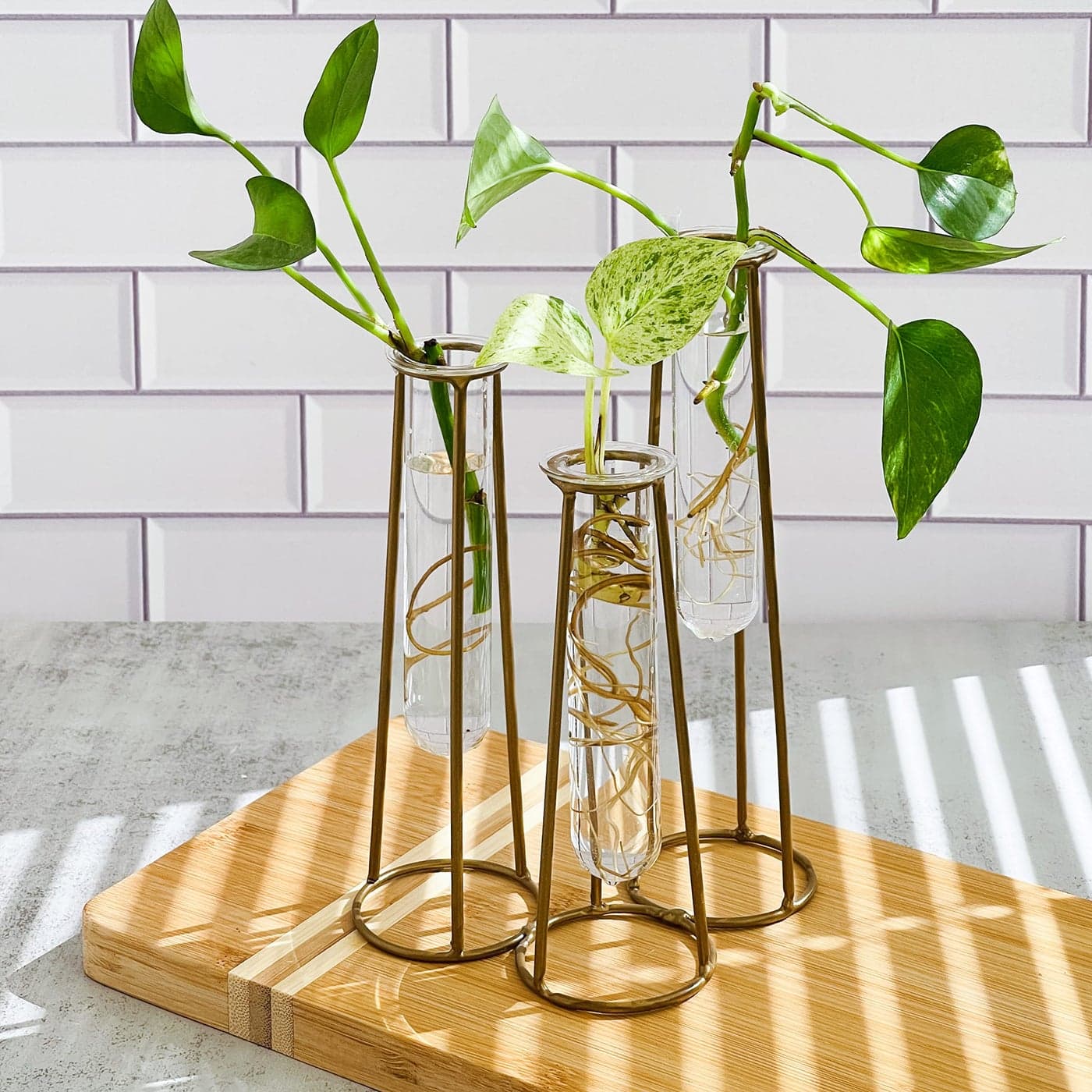 Propagation Station Terrariums with Gold Metal Stand Kate Aspen 3 Glass Test Tube Planters for Indoor Plant Air Plants Plant Clippings Cut Flowers Herbs Succulents Home Decor Table Decoration