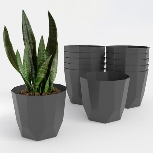 YUCCABE ITALIA SHERA Hexa Plastic Planter Pot for Plants | Decorative Flower Pot | UV Protected Lightweight Indoor Outdoor Gamla for Home Decor, Balcony, Garden & Living Room