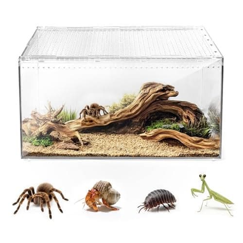 AZV Escape Proof Reptile TerrariumShatter Proof Polycarbonate Tarantula Tank with Magnetic LidVentilated Spider Enclosure360 Clear ViewEasy Clean Habitat for GeckoFrogsInsectsHermit Crabs XL