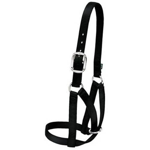 Weaver Livestock Barn Cow Buckle Cattle Halter, Adjustable, Modern Style Cow Calf Halter, Livestock Handling Equipment for Showing, Black