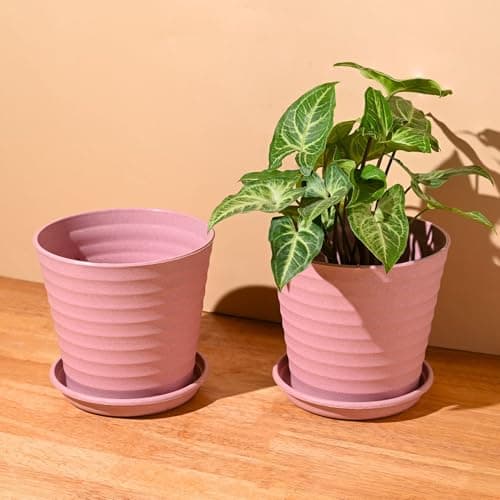 Eha Set of 2 Earth-Friendly Linea 5.5" Pots for Plants | Bamboo Based Plant Pots | UV Protected | Flower Pot for Indoor, Home Decor, Outdoor, Balcony & Garden | Innocent