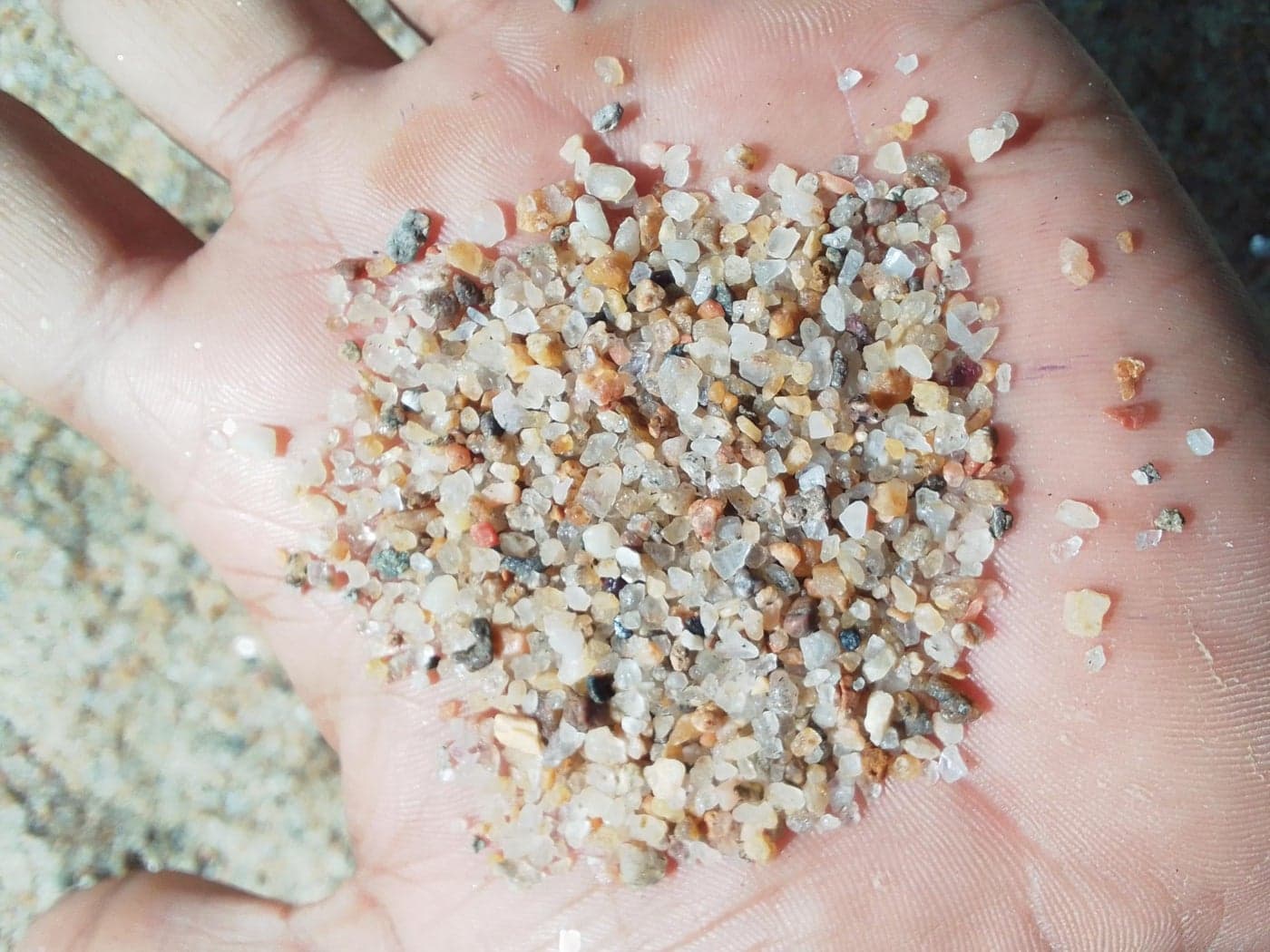RUKDA® Natural Organic River Sand – White Golden Mix | Sugar‑Size Sand | Aquarium & Terrarium Substrate for Freshwater, Marine, Shrimp, Snail, Turtle Habitats & Reptile – Natural Filter (900 gm)