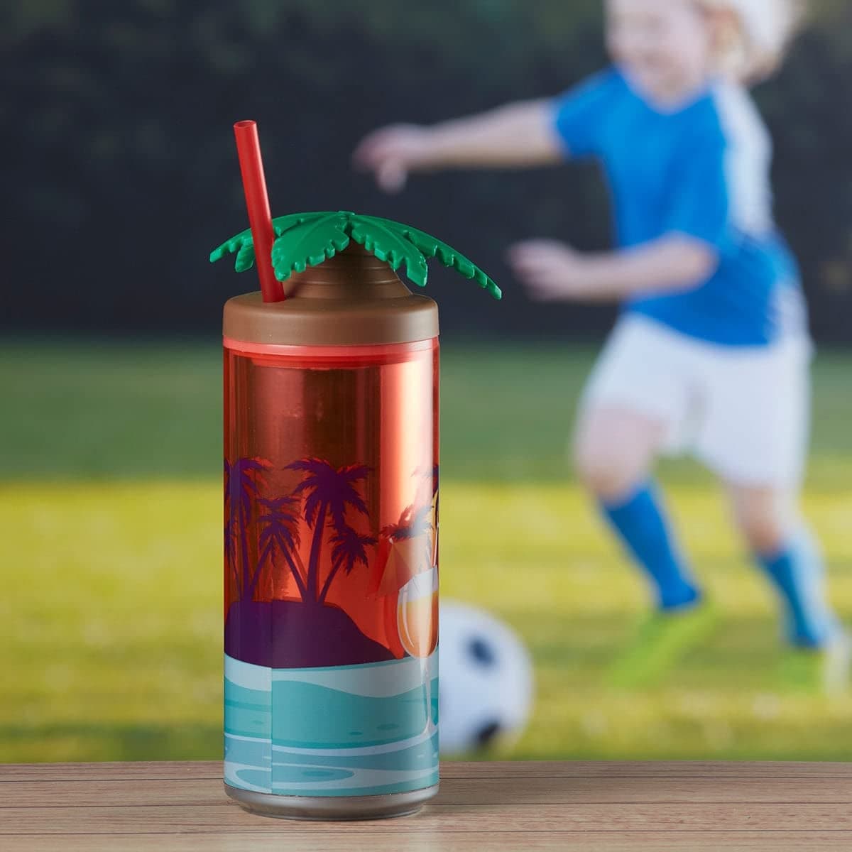 Pakhi Decor Frosted Acrylic Sipper Tumbler with Straw Lid Reusable Cup for Water Juice Milk Beverages 468ml KT009B